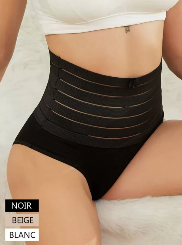 Culotte haute gainante Lavinia (3 coloris)