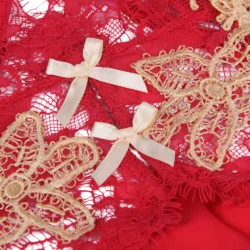 nuisette en satin clarissa rouge (3) nuisette en satin clarissa rouge (3)