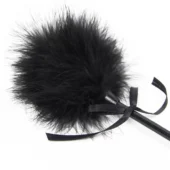 Cravache cuir et plume (2) Cravache cuir et plume