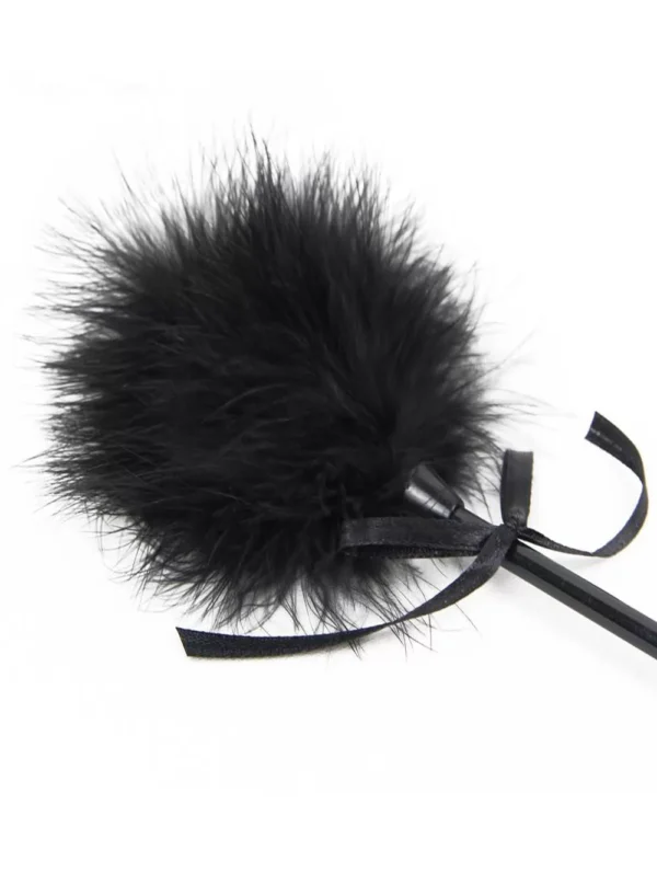 Cravache cuir et plume (2) Cravache cuir et plume