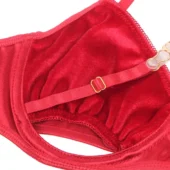 Lingerie en velours rouge Ruby (soutien gorge) Lingerie en velours rouge Ruby (soutien gorge)