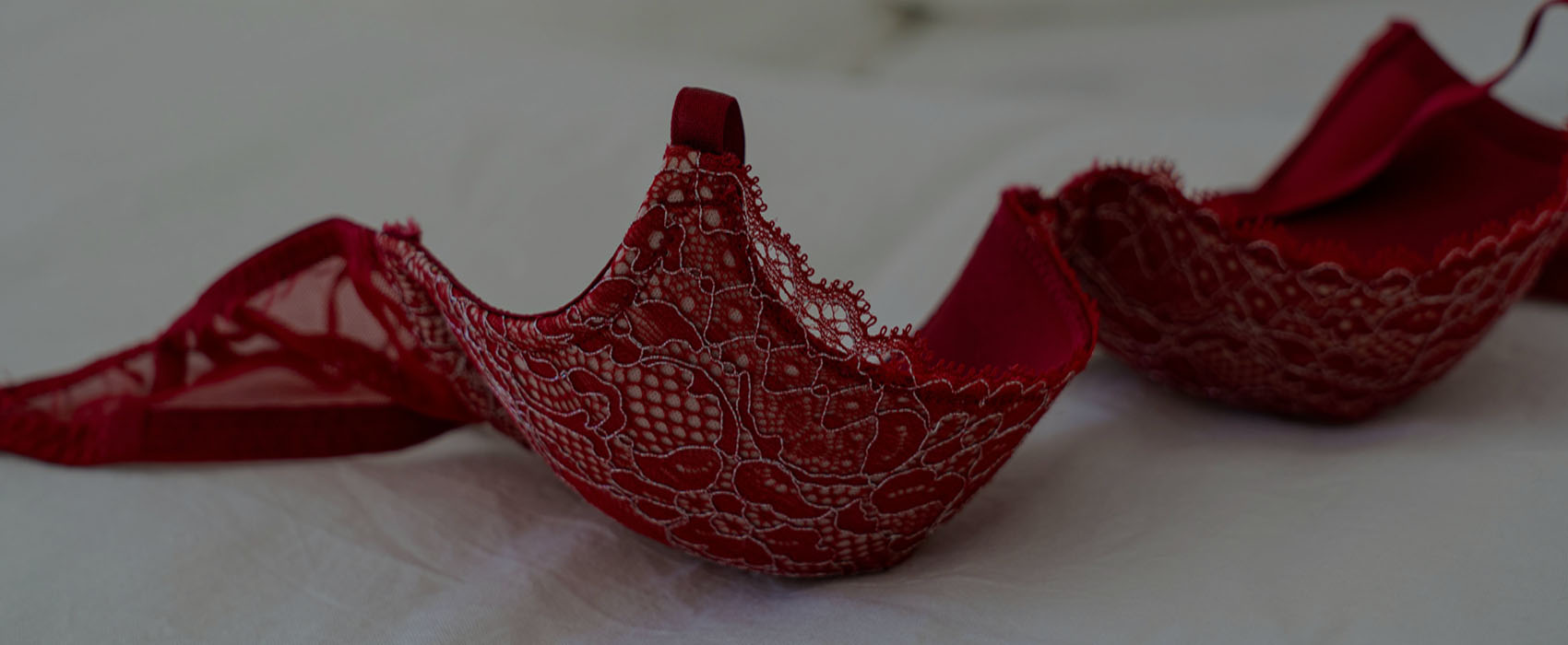 Soutien-gorge dentelle bicolore structuré à armatures