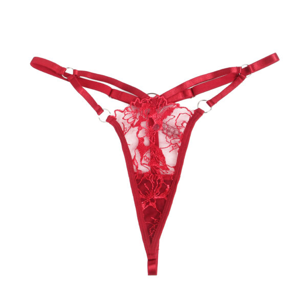 Ensemble harnais dentelle 4 pièces col choker Ravenna