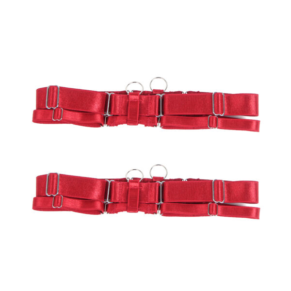 Ensemble harnais dentelle 4 pièces col choker Ravenna